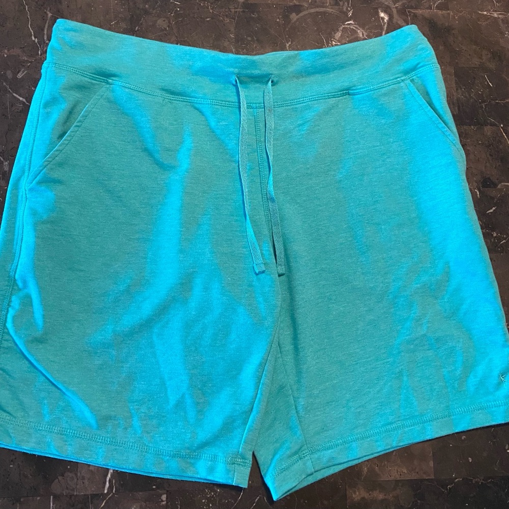Blue Danskin Shorts